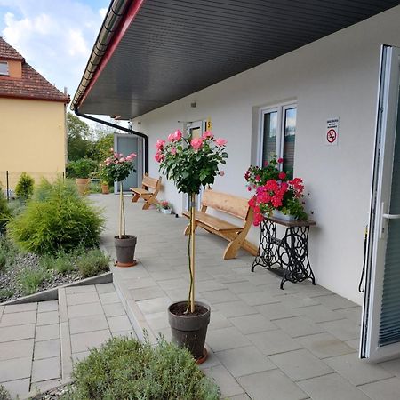 Apartamenty pod Gruszą Kudowa-Zdrój Zewnętrze zdjęcie